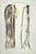 Vein Diseases is a lithograph hand colored by Ottavio Muzzi for the edition of Antoine Chazal, Human Anatomy, Printers...