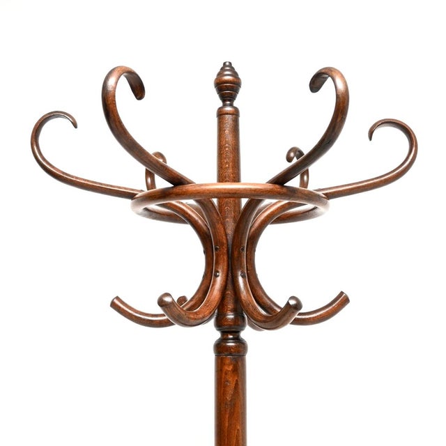 19th Century Antique Victorian Bentwood Hatstand, 1890 For Sale - Image 5 of 10