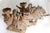 Pair of Korean Funerary Pottery Vessels, C. Early 20th Century, Possibly Older. For Sale - Image 17 of 18