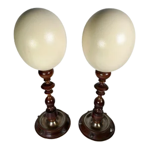 1900s Mounted Ostrich Eggs - a Pair