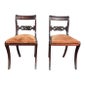 Shop JW HOME