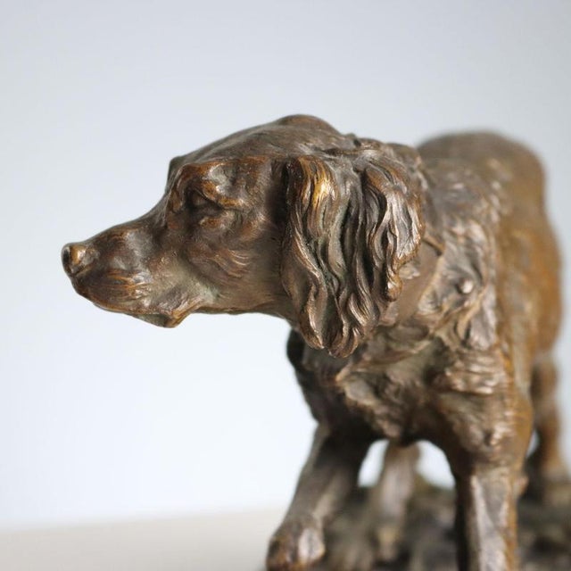 Brown Hunting Dog Figurine in Bronze from Pierre Jules Mène For Sale - Image 8 of 10