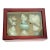 Large Sea Shells Specimens in Mahogany Box For Sale