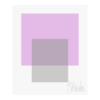 The Interaction of Lavender and Gray Fine Art Print 25" X 30" by Liz Roache For Sale