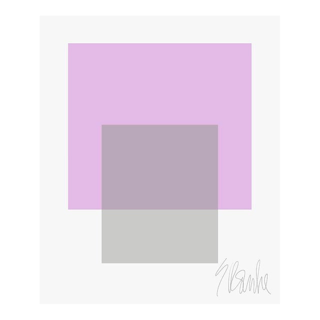 The Interaction of Lavender and Gray Fine Art Print 25" X 30" by Liz Roache For Sale