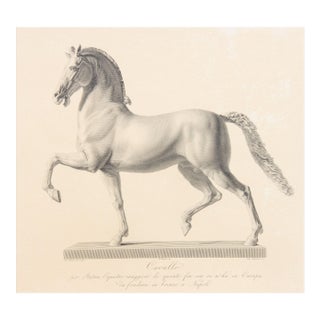 Pair Early 19th Century Italian Engravings After Antonio Canova by Marchetti For Sale