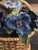 Metal 1970s Fleurs Des Siecles Pansy Floral Arrangment Basket by Jane Hutcheson for Gorham For Sale - Image 7 of 10