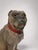 A finely modeled Victorian polychrome terracotta figure of a seated pug dog, naturalistically rendered with an expressive...