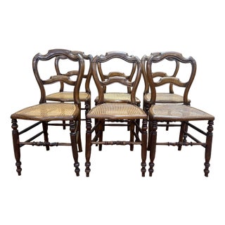 Louis-Philippe Caned Walnut Chairs, 1800s, Set of 6 For Sale