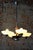 Art Deco Chandelier in Chromed Steel and Beech, Czech, 1920s For Sale - Image 11 of 14