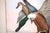 Traditional Mid 20th Century "2 Ducks in Flight", Watercolour by Jean Herblet Ex- c.z. Guest Collection For Sale - Image 3 of 4