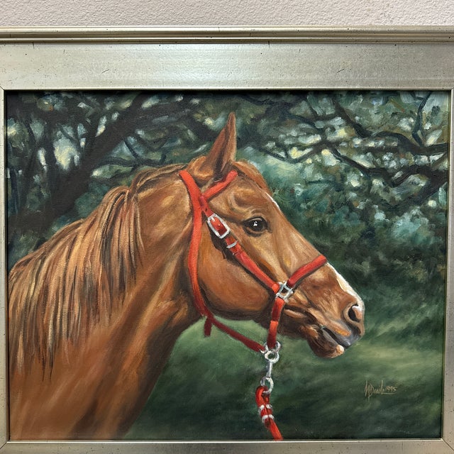 1990s Excellent Vintage Portrait of Chestnut Horse With Red Halter 16” X 20 “ 1995 For Sale - Image 5 of 6