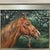 1990s Excellent Vintage Portrait of Chestnut Horse With Red Halter 16” X 20 “ 1995 For Sale - Image 5 of 6