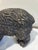Very old California bear. Beautifully cast in Bronze with really nice detail. bronze has a patina that only age can have.