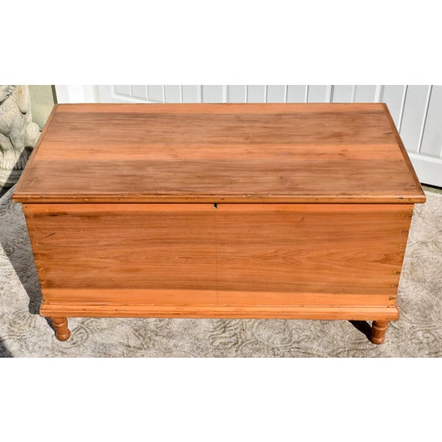 Brown Antique Solid Pine Rustic Style Hand Dovetailed Trunk For Sale - Image 8 of 12
