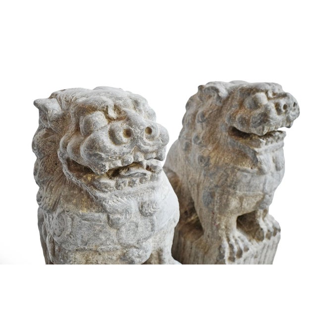 Old Mongolian Stone Foo Dog Statues - Pair For Sale - Image 9 of 12