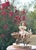 Stellmacher Teplitz Porcelain Figurine: Girl on Donkey, Restored Antique For Sale - Image 10 of 10