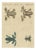 Bertuch, Four Colourful Tree Frogs, 1815, Print For Sale