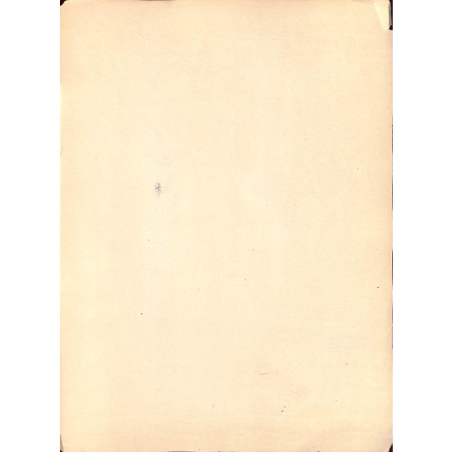 Traditional Mid 20th Century H.N. Higinbotham by Carlo De Fornaro Reproduction Print For Sale - Image 3 of 3