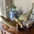 A timeless symbol of strength and freedom. This vintage solid brass eagle sculpture captures the beauty of an eagle in...