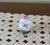 1990s 1990s Vintage Hand-Painted Easter Egg Birds & Ribbon Decoration on Golden Metal Base For Sale - Image 5 of 9