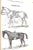 "Mosemans': Illustrated Guide for Purchasers of Horse Furnishing Goods" 1895 Moseman, c.m. For Sale - Image 12 of 18