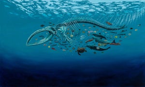 Bake-kujira by Robin Hextrum | Oil on canvas Depiction of a whale skeleton surrounded by marine life.