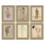 Dove Gray Beatrice, Emily, Catherine, Elizabeth, Lucretzia & Isabelle Framed Art Prints - Set of 6 by David Phoenix For Sale - Image 8 of 8