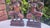Nude Wooden Apsara Dancer Figurine, Cambodia, 1980s, Set of 2 For Sale - Image 4 of 10