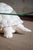 Turtle-Shaped Storage Coffee Table, 1980s For Sale - Image 6 of 7