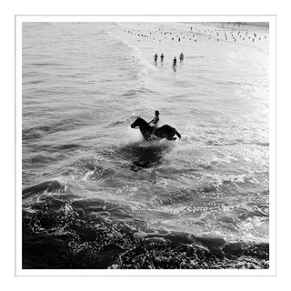 Getty Images, "Aquatic Equestrian", Framed Photograph For Sale