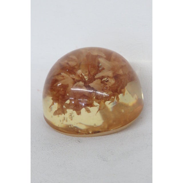 Dome Shaped Amber Hue Resin Paperweight With Enclosed Dried Flower Petals 5073b For Sale - Image 4 of 4