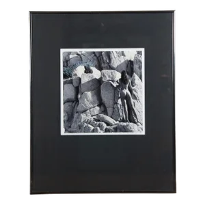 1991 Karen D. Abbott Cabo San Lucas Mexico Black & White Nude Photograph 20", Framed