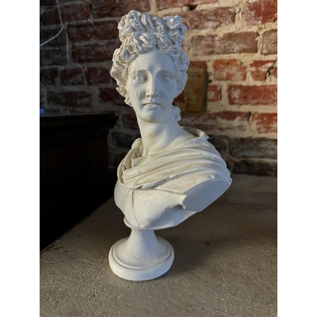 Mid-Century Modern Classical Plaster Bust of Apollo Belvedere | Italian Mythological Sculpture For Sale - Image 3 of 6