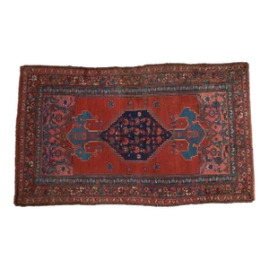 Vintage Kurdish Bijar Rug - 4'1" X 6'10"
