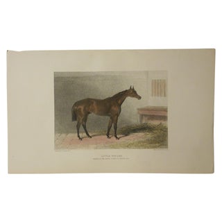 Antique Horse/Equine Engraving For Sale
