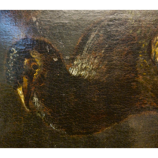 Baldassarre de Caro, Still Life with Peacock, 1700, Oil on Canvas For Sale - Image 10 of 13