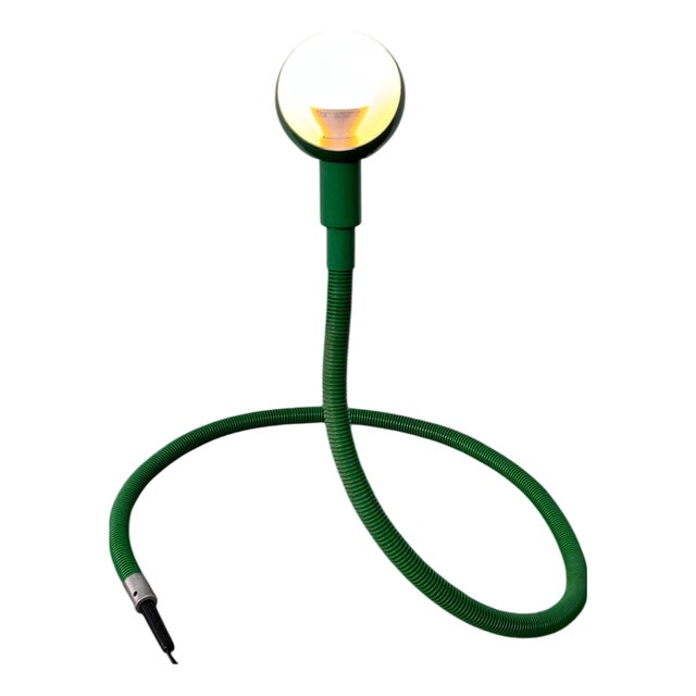 Vintage Hebi Lamp by Isao Hosoe for Valenti Luce, 1970s For Sale