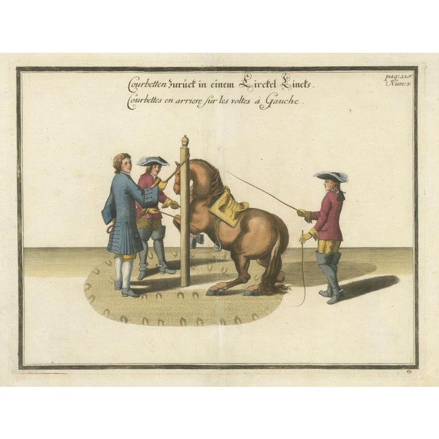 William Cavendish, Dressage Horse Training, Newcastle Riding School, 1700s, Engraving For Sale - Image 4 of 12