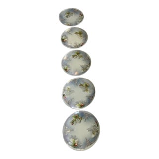 Vintage Hand-Painted Porcelain Dessert Plates From Germany or Austria - Set of Five For Sale