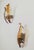 Leaf-Shaped Murano Glass Sconces from La Murrina, Italy, 1970s, Set of 3 For Sale - Image 4 of 18