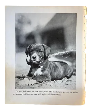 1933 Dog Book Illustration Puppy Print