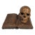 Rare German Early 20th C Momento Mori Hand Carved Wooden Sculpture For Sale