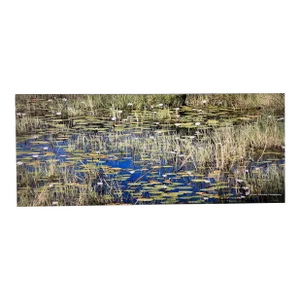 Original Botswana Landscape Color Nature Photograph