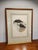 Victorian Late 19th Century John Gould the Birds of Britian - Three Framed Puffin Hand Colored Lithographs For Sale - Image 3 of 7