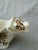 Vintage Ironstone Cow Creamer Royal Crownford England For Sale In New York - Image 6 of 15