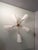Mid-Century Modern Star-Shaped Wall Lamp in Brass and Acrylic Glass Lumen from Lumen Milano, 1950s For Sale - Image 3 of 10