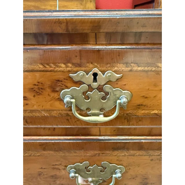 Chestnut English Mahogany Chest With Burl and Banding For Sale - Image 8 of 11