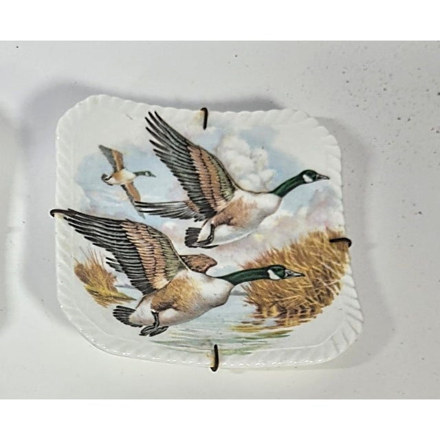 Illustrated Game Bird Plates - Set of Six For Sale - Image 13 of 16