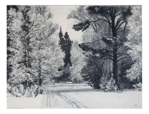 Piotr Petrovich Belousov, Forest Road, 20th Century, Etching